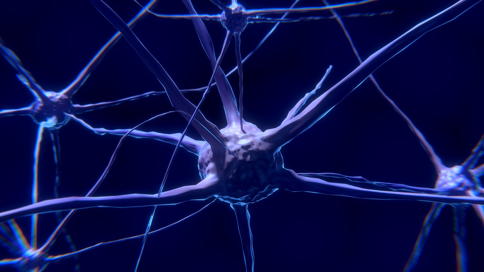 cbd_endocannabinoid_nerve